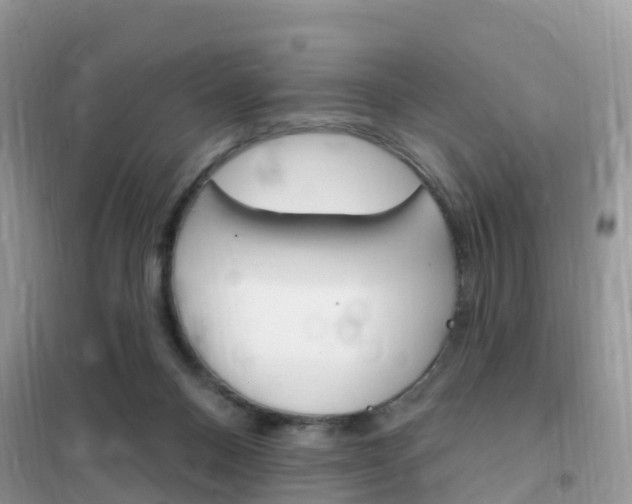 X0000102350120200808010945