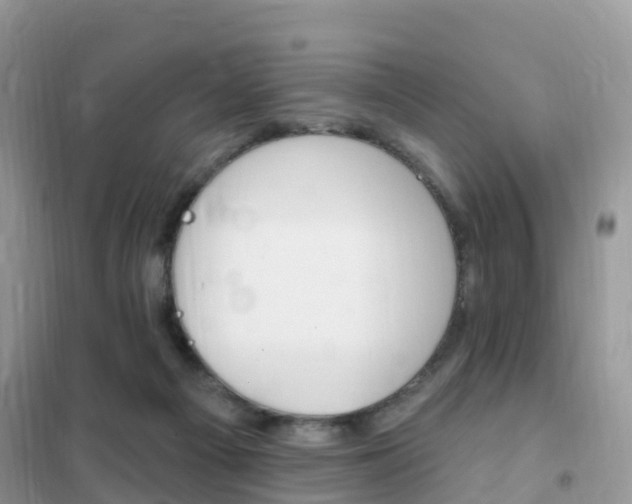 X0000102350121200808010945