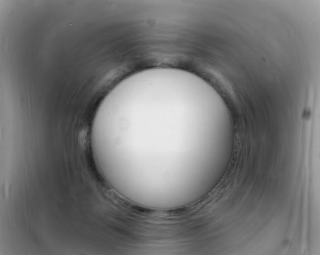 X0000102350123200808010945