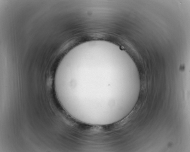 X0000102350124200808010945