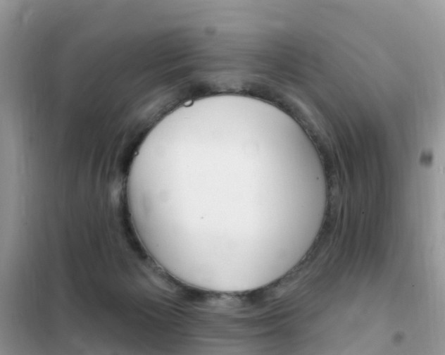 X0000102350125200808010945