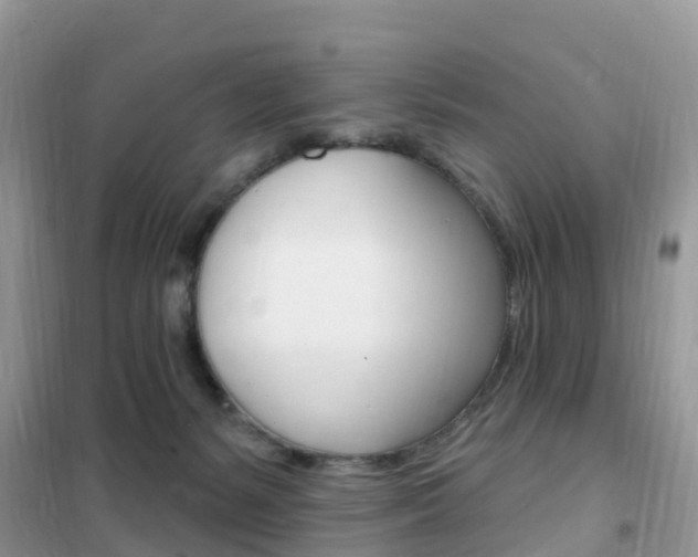 X0000102350127200808010945