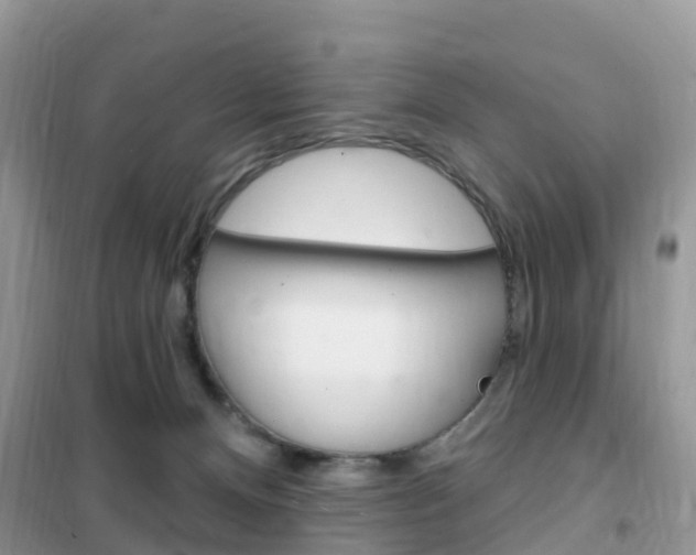 X0000102350128200808010944