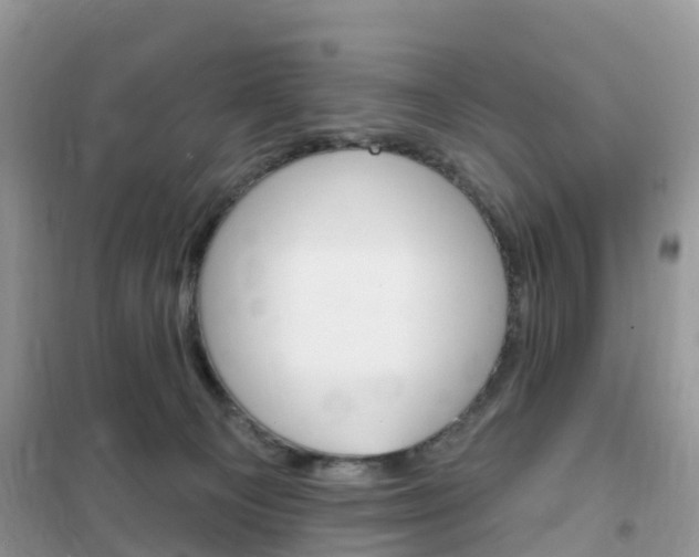 X0000102350129200808010944