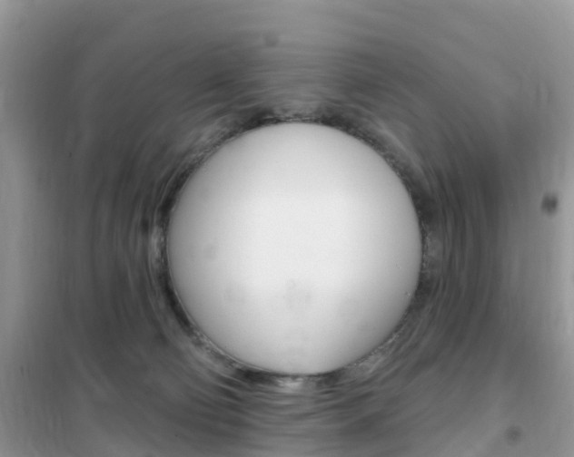 X0000102350130200808010944