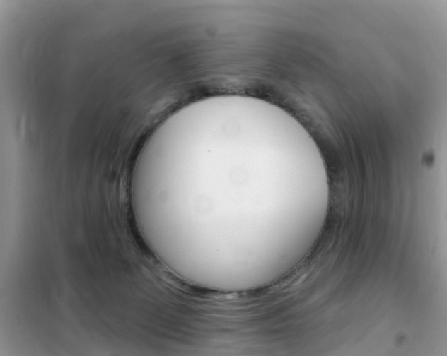 X0000102350131200808010944