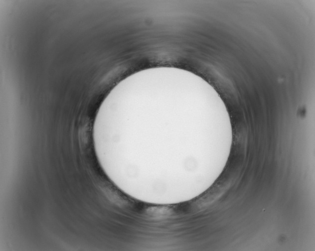 X0000102350133200808010944