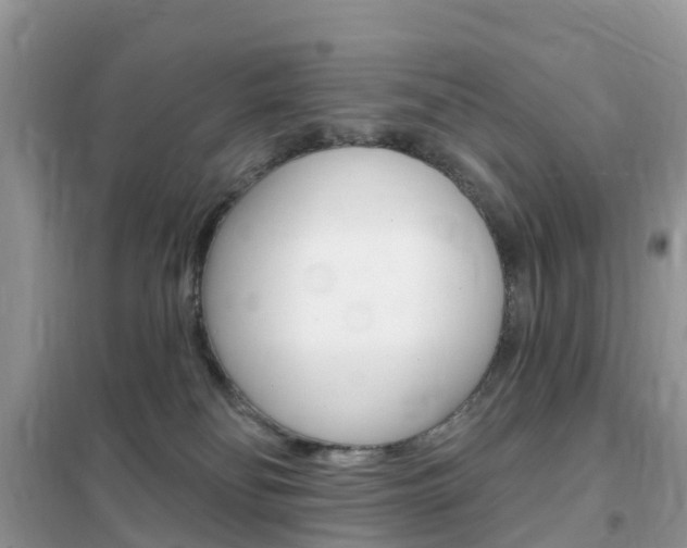 X0000102350134200808010944