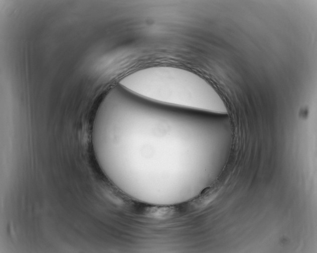 X0000102350135200808010944