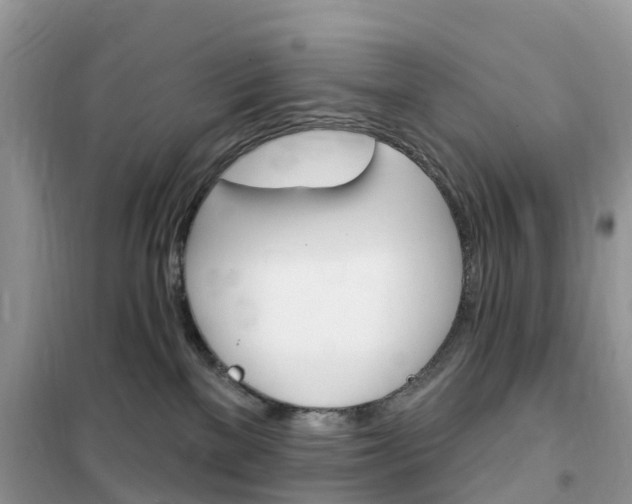 X0000102350137200808010944