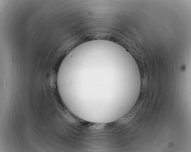 X0000102350138200808010944