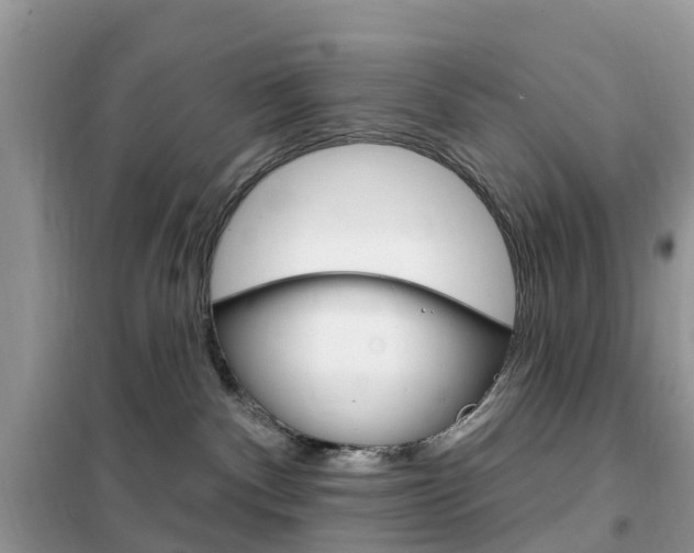 X0000102350140200808010944