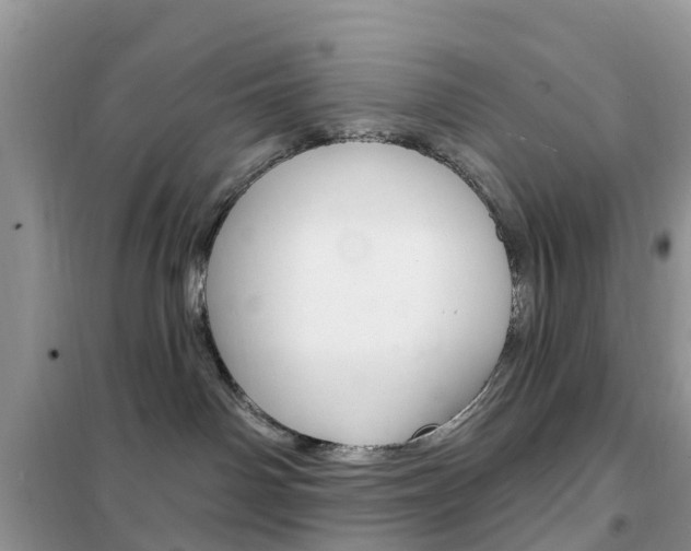 X0000102350142200808010944