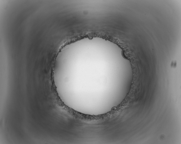 X0000102350144200808010944