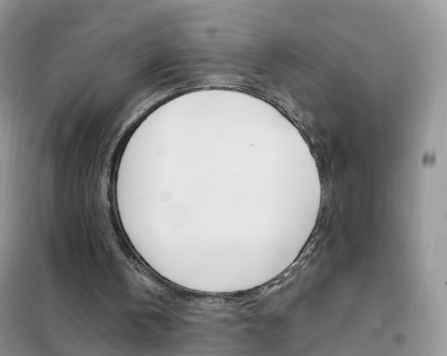 X0000102350146200808010944