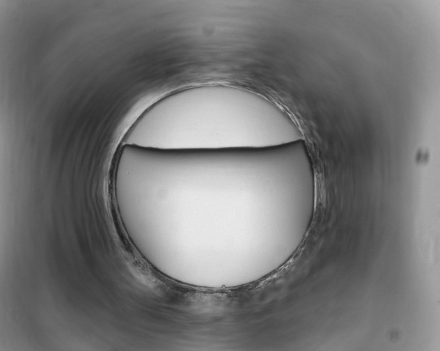 X0000102350147200808010944