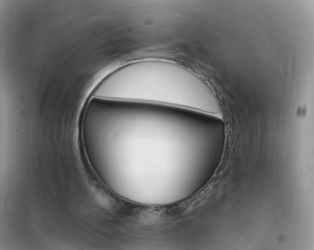 X0000102350148200808010944