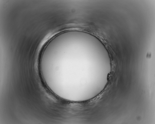 X0000102350150200808010944