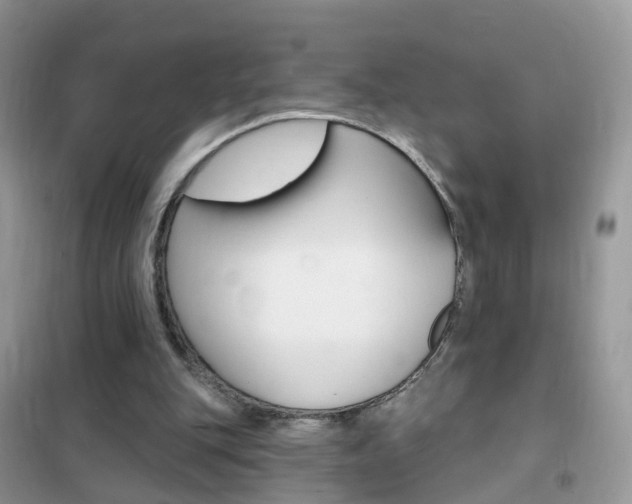 X0000102350151200808010944