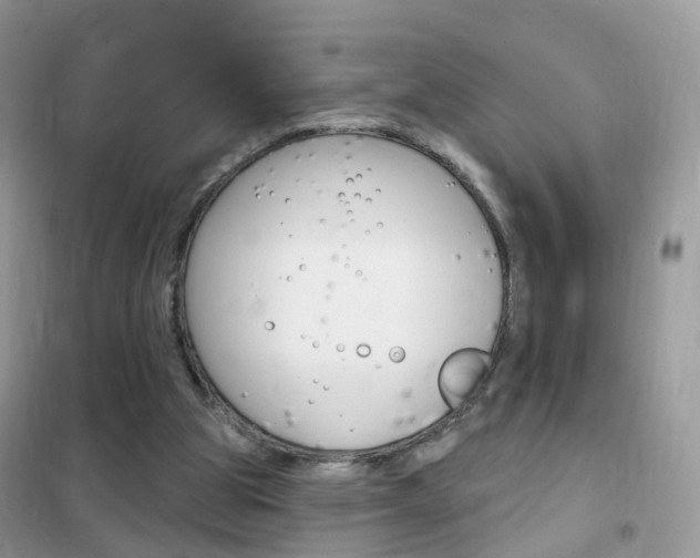 X0000102350153200808010944