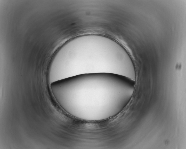 X0000102350154200808010944