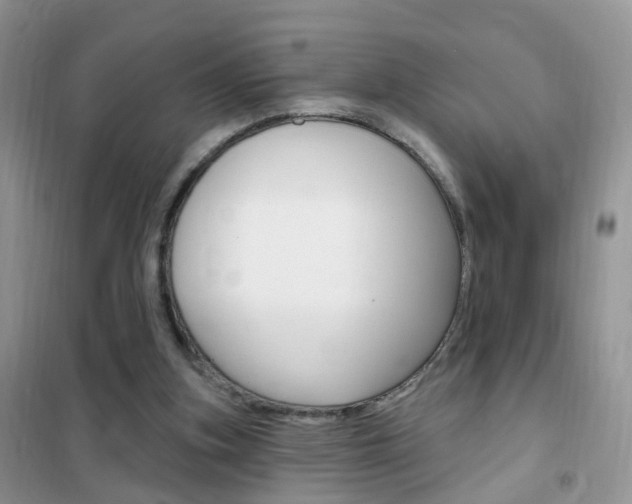 X0000102350155200808010944