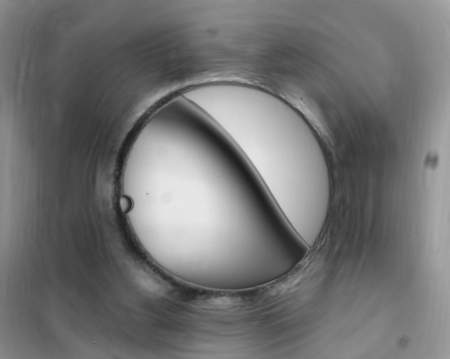 X0000102350156200808010944