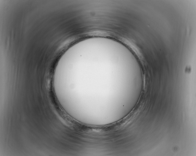 X0000102350157200808010944