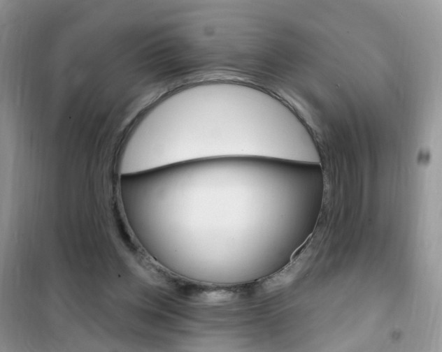 X0000102350158200808010944