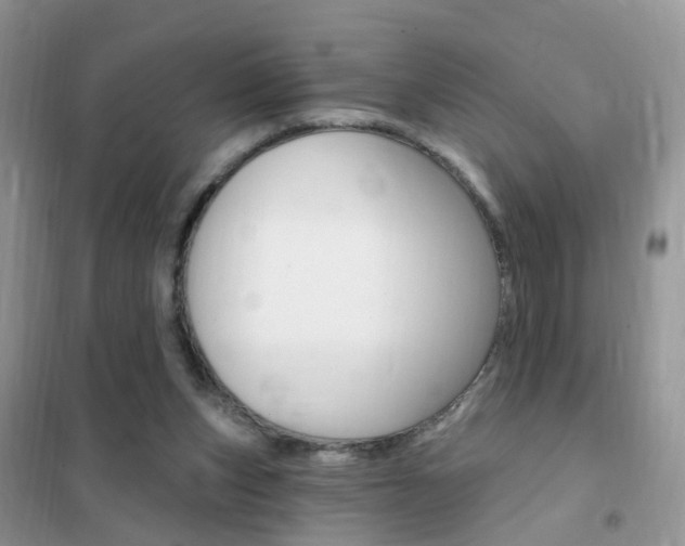 X0000102350159200808010944