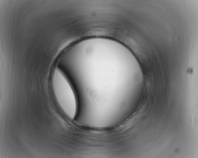 X0000102350160200808010944