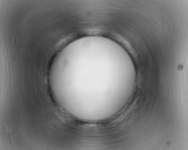 X0000102350161200808010944