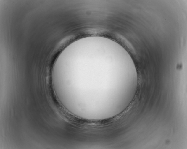 X0000102350163200808010944