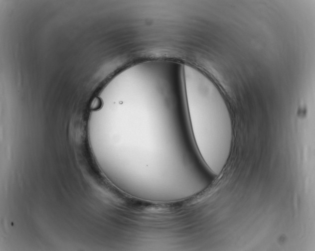 X0000102350164200808010944