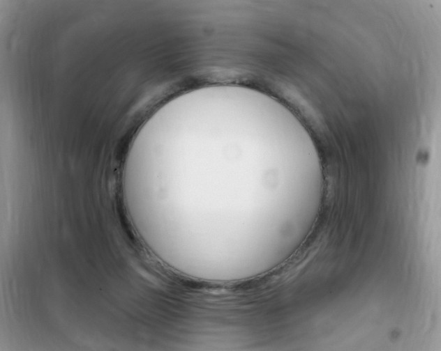 X0000102350165200808010944