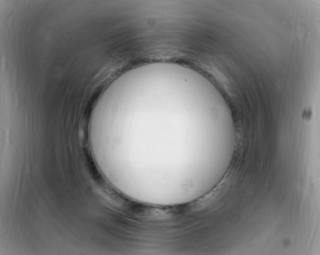 X0000102350166200808010944