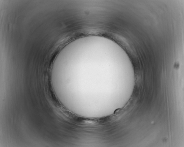 X0000102350167200808010944