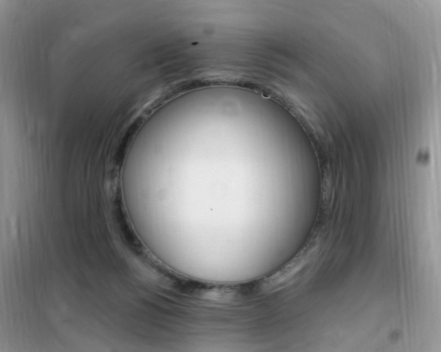 X0000102350168200808010944