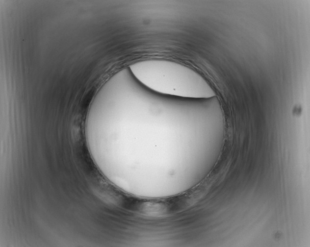 X0000102350169200808010944