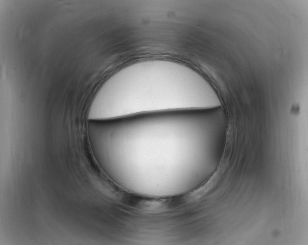 X0000102350170200808010944