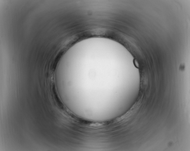 X0000102350172200808010944