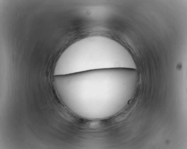 X0000102350173200808010944