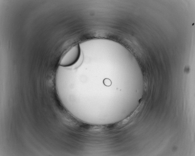 X0000102350175200808010944