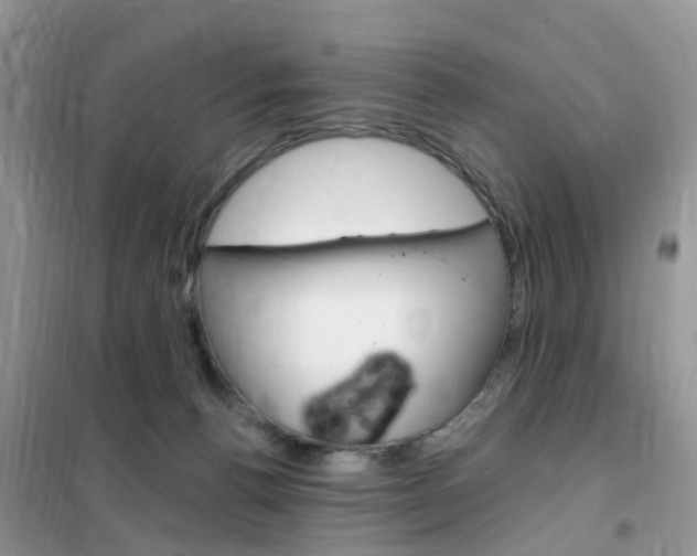 X0000102350176200808010944