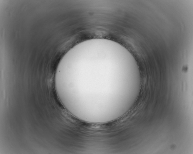 X0000102350177200808010944