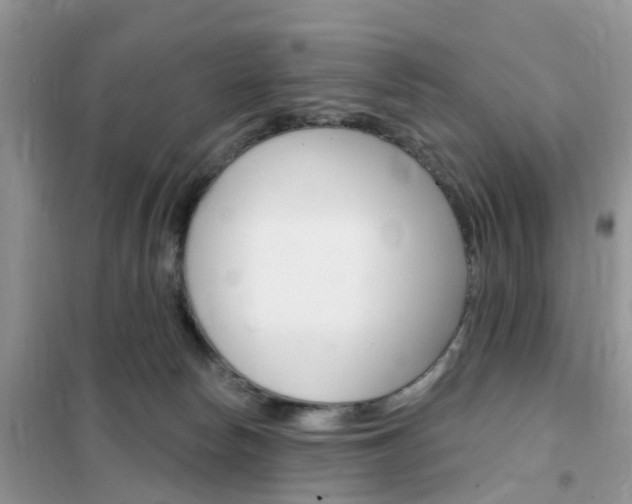 X0000102350178200808010944