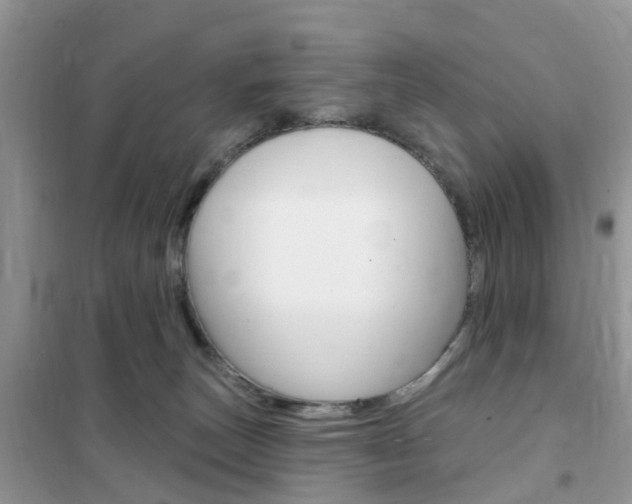 X0000102350179200808010944