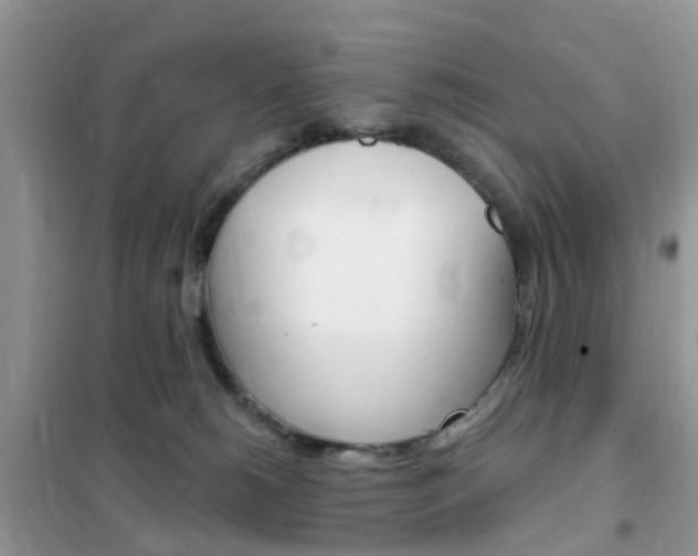 X0000102350180200808010944