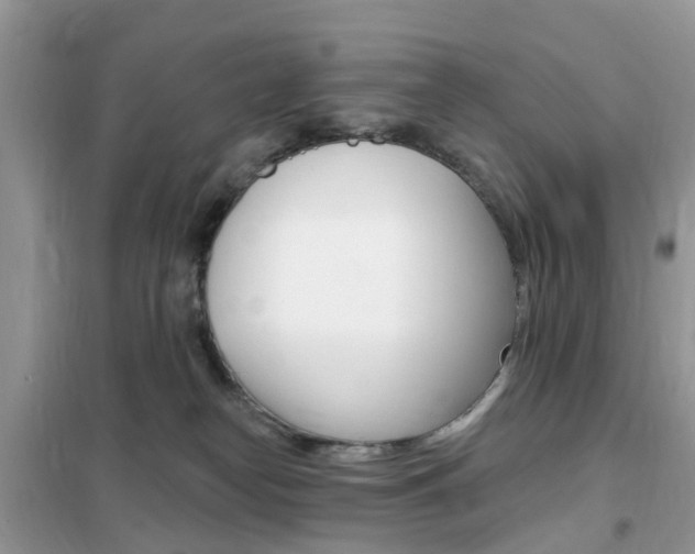 X0000102350182200808010944