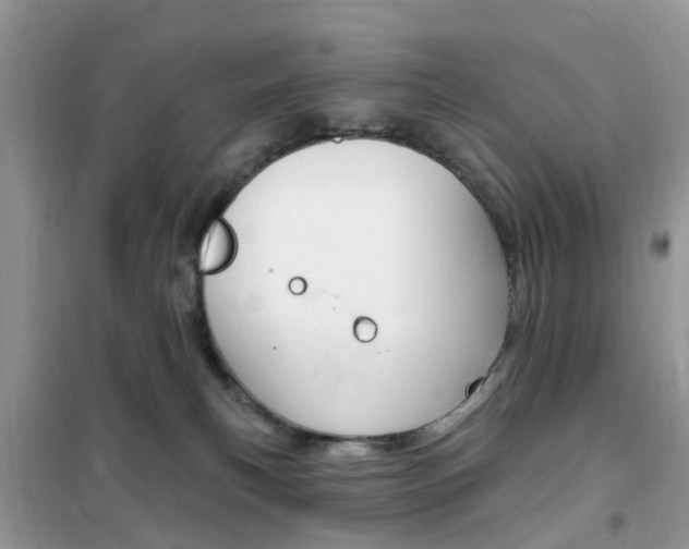 X0000102350183200808010944